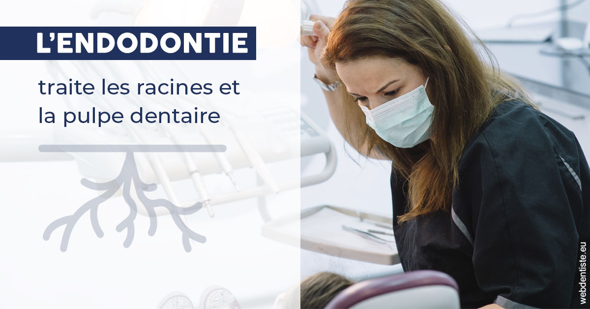 https://dr-anne-laure-pissavin.chirurgiens-dentistes.fr/L'endodontie 1