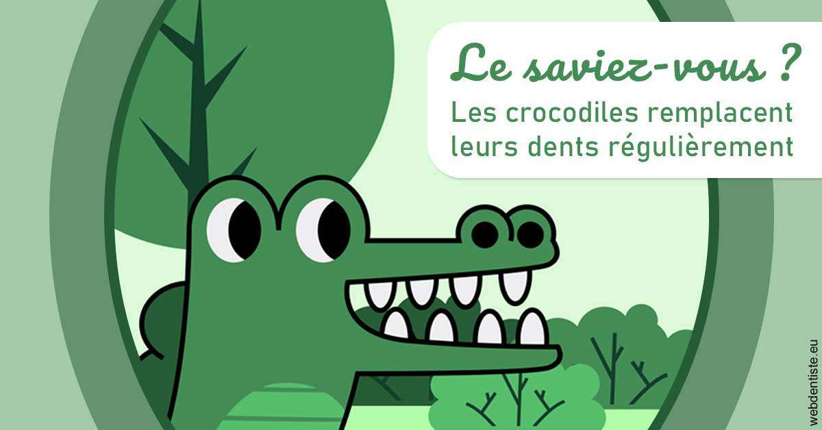 https://dr-anne-laure-pissavin.chirurgiens-dentistes.fr/Crocodiles 2
