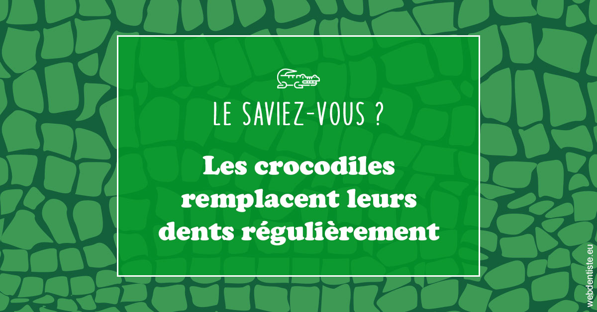 https://dr-anne-laure-pissavin.chirurgiens-dentistes.fr/Crocodiles 1